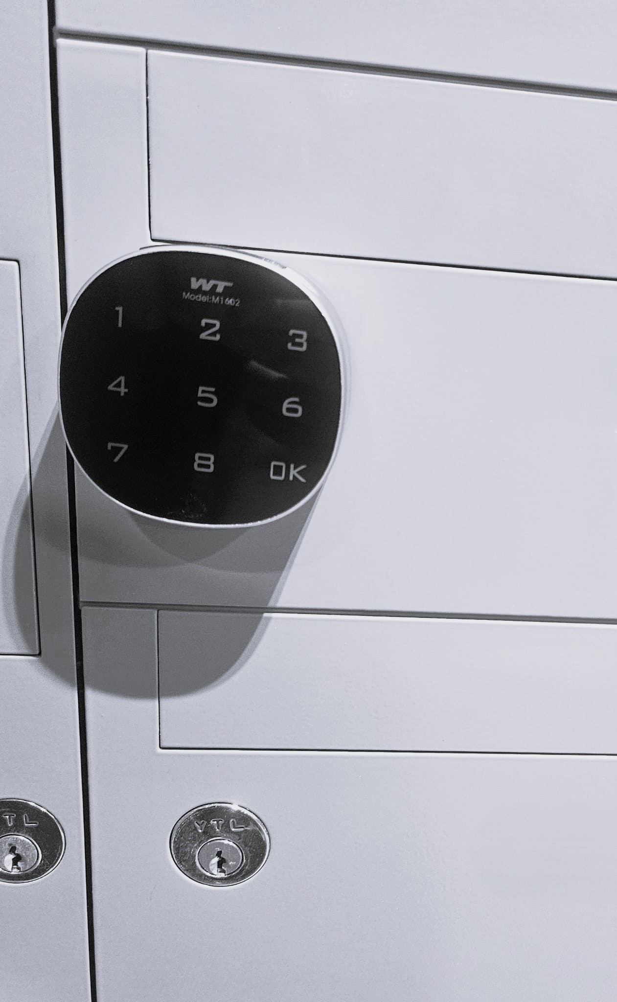 Project 11 - Digital Lock Black Color